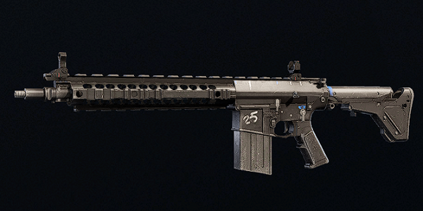 SR-25