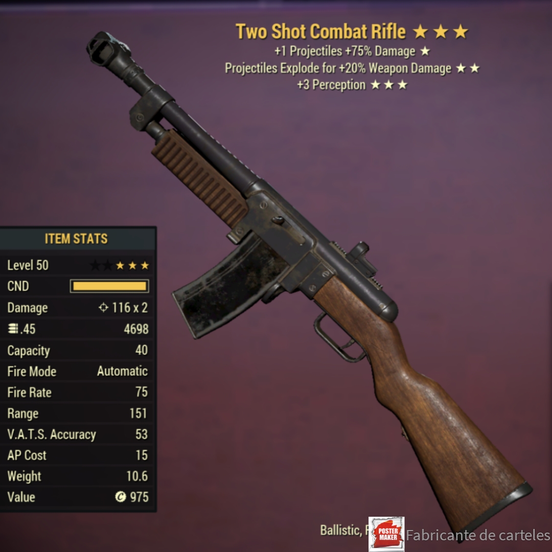 Combat Rifle