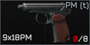 PM (t)