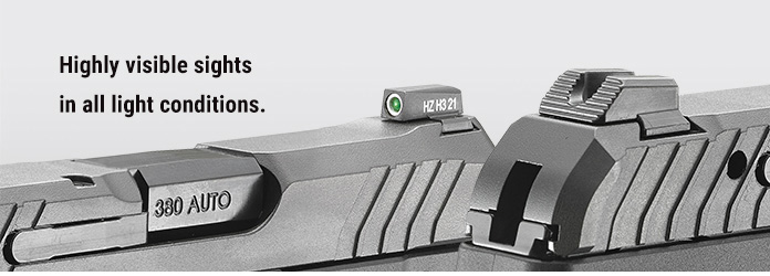 Ruger LCP MAX