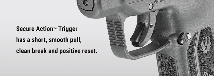 Ruger LCP MAX