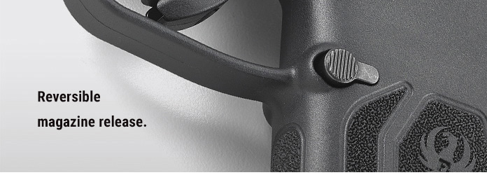 Ruger LCP MAX