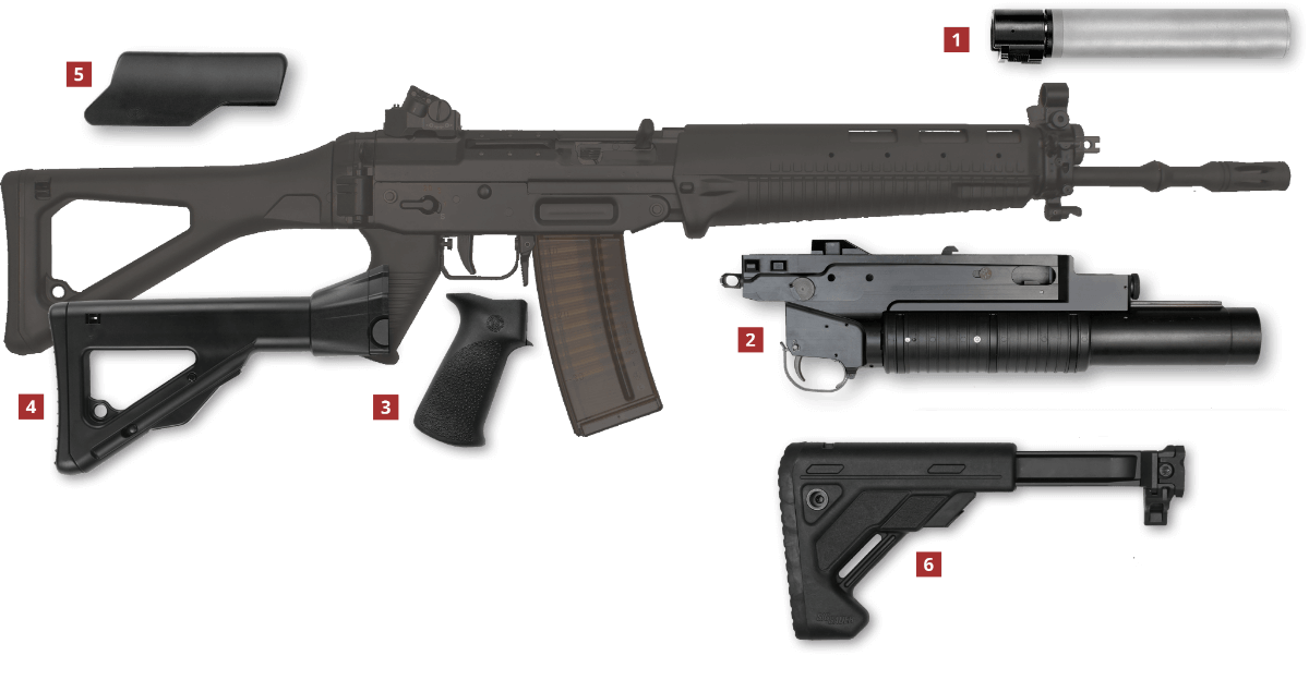 SIG SG 551